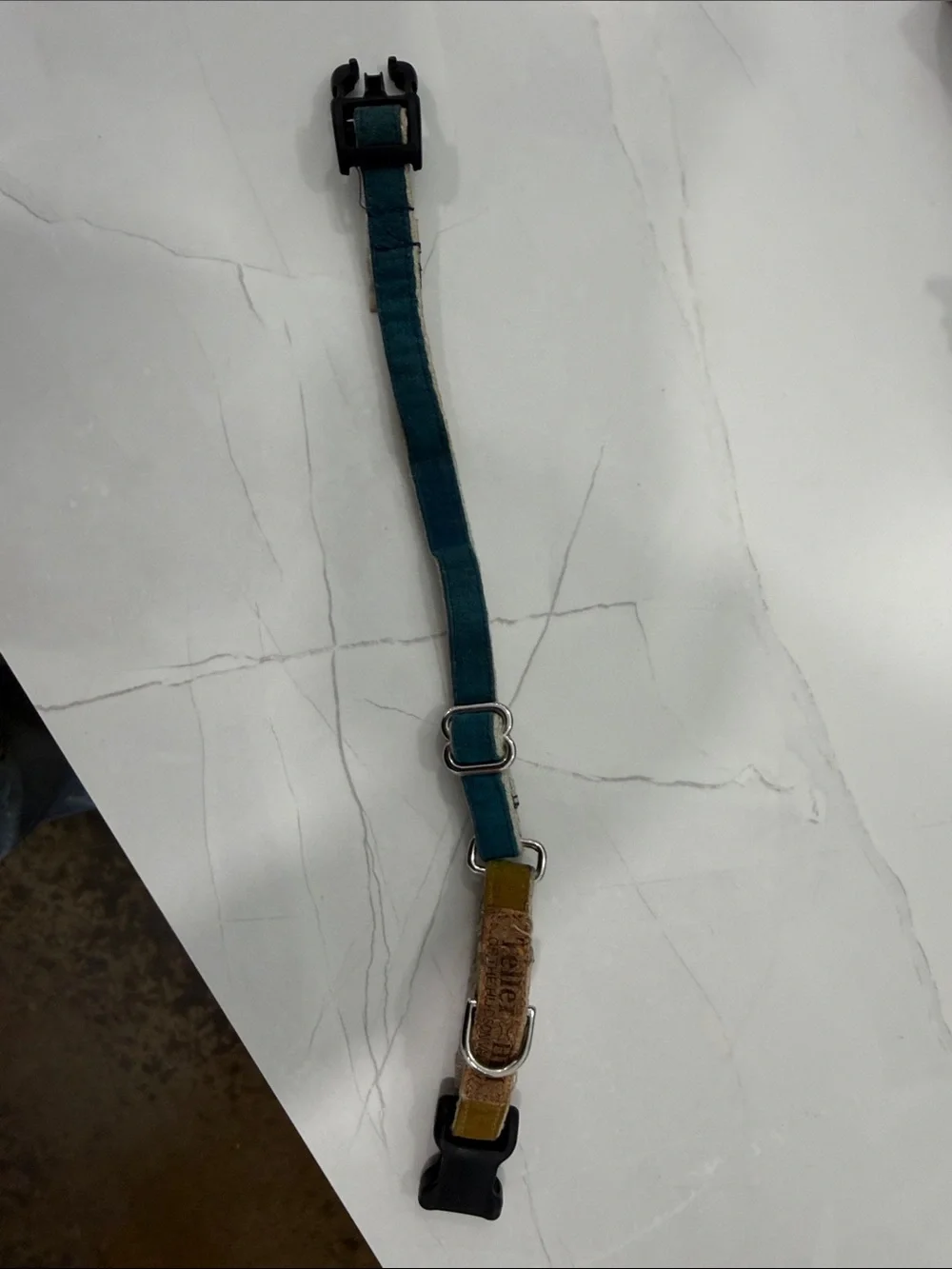 Teller Hill Teal and Tan Adjustable Pet Collar